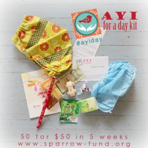 ayi for a day kit 3