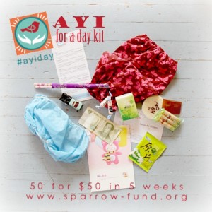 ayi for a day kit 4